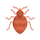 Pest Control